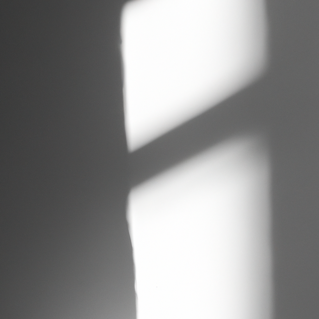 자연광이 들어오는 화이트 벽과 그림자 디테일